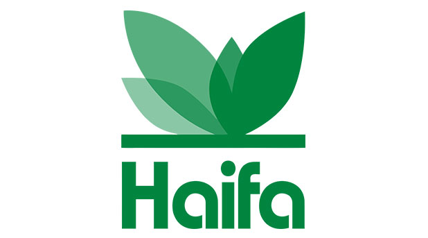 haifa-logo